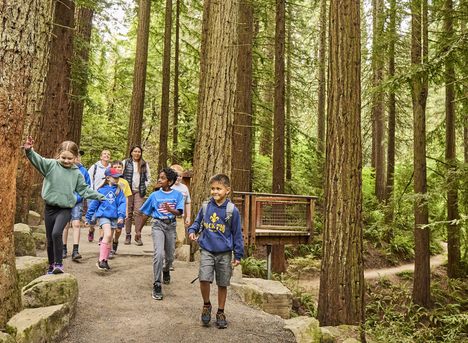 Scouts on an outdoor trail